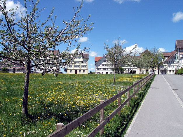 2003.05.03.042