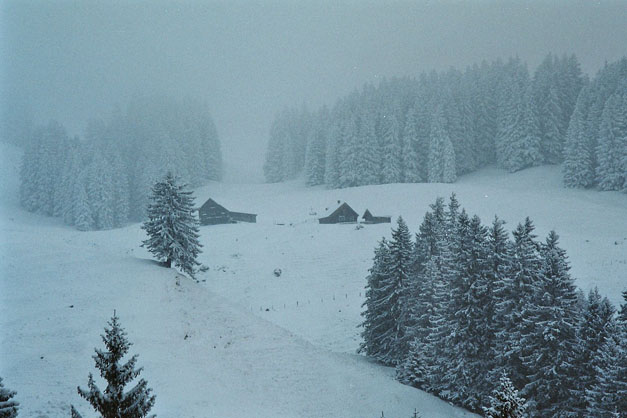 Winter.AI.AR.2003.12.20.003