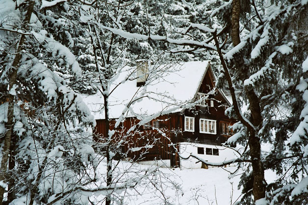 Winter.AI.AR.2003.12.20.004
