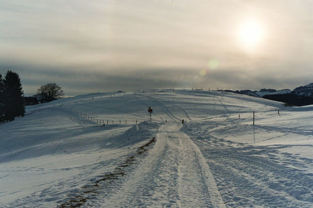 Winter.AI.AR.2003.12.20.012