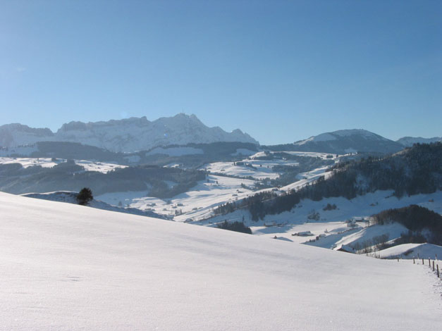 Winter.AI.AR.2003.12.20.016