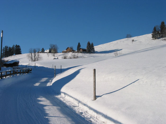 Winter.AI.AR.2003.12.20.022