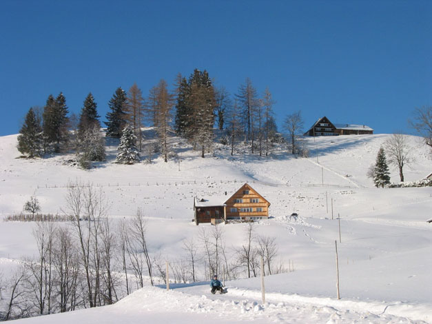 Winter.AI.AR.2003.12.20.024