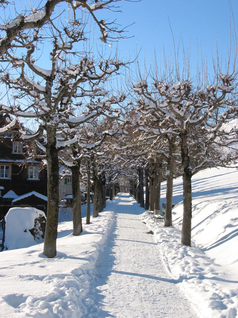 Winter.AI.AR.2003.12.20.028