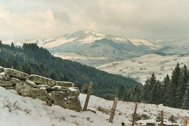 Winter.AI.AR.2003.12.20.035