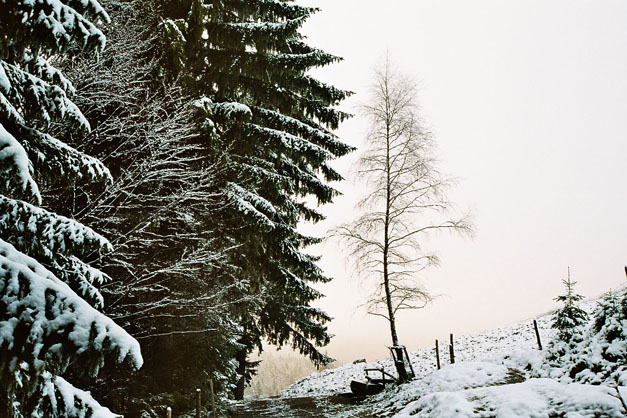 Winter.AI.AR.2003.12.20.036