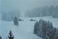 Winter.AI.AR.2003.12.20.003