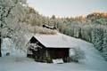 Winter.AI.AR.2003.12.20.005