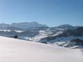 Winter.AI.AR.2003.12.20.016