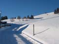 Winter.AI.AR.2003.12.20.022