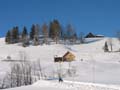 Winter.AI.AR.2003.12.20.024