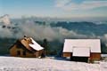 Winter.AI.AR.2003.12.20.031