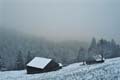 Winter.AI.AR.2003.12.20.034