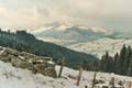 Winter.AI.AR.2003.12.20.035
