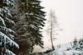 Winter.AI.AR.2003.12.20.036